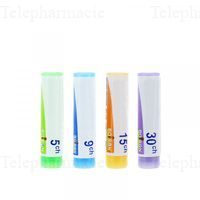 NUX MOSCHATA Boiron 30CH Glob T/1g