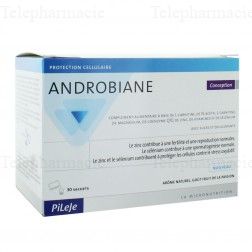 ANDROBIANE CONCEPTION SACHETS/30