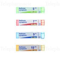 AETHUSA CYNAPIUM 5CH TU GRAN. 