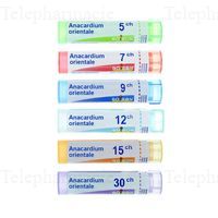 ANACARDIUM ORIENTALE