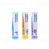 ARGENTUM MET. 15CH DO GL BOI