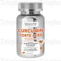BIOCYTE Longevity Articulations - Curcumin forte X185