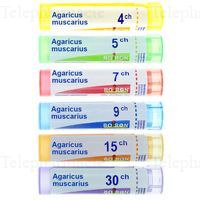 AGARICUS MUSCARIUS