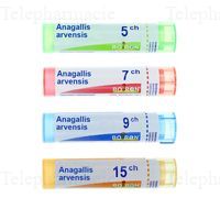 BOIRON ANAGALLIS ARVENS 5CH TU.GRAN.