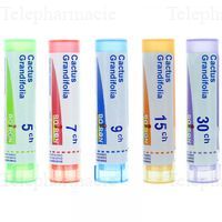 BOIRON CACTUS GRANDIF. 15CH TU.GRAN.