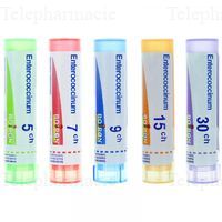 BOIRON ENTEROCOCCINUM 15CH TU.GRAN.