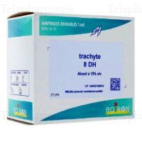 TRACHYTE