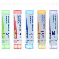 CALCAREA CARBONICA OSTREARUM