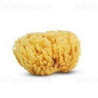 CARTEL EPONGE MER NATUREL 11CM VITRY