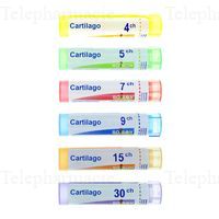 CARTILAGO (CARTILAGE)