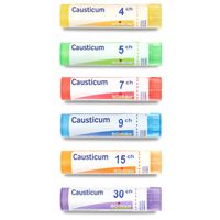 CAUSTICUM