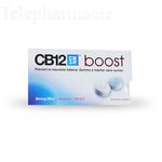 boost plaquette de 10 gommes &agrave; m&acirc;cher