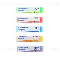 CHAMOMILLA VULGARIS
