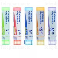 CRATAEGUS OXYACANTHA