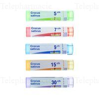 CROCUS SATIVUS 5CH TG BOI