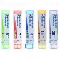 CYPRIPEDIUM PUB. 9CH TG BOI