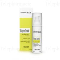 Cure-Dents Lame Argent