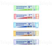 DERMATOPH. PTER. 9CH TG BOI