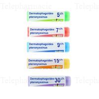 DERMATOPH.PTERON 9CH DOSE