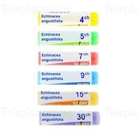 ECHINACEA ANGUSTIFOLIA