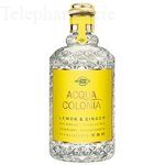 EDC 4711 CITRON GINGEMBRE 17
