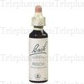 FLEURS DE BACH Original n°03 Beech fleur de bach flacon compte-gouttes 20ml
