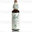 FLEURS DE BACH Original n&deg;07 Chestnut bud fleur de bach flacon compte-gouttes 20ml