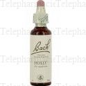 FLEUR DE BACH Original n°15 "Holly ou houx" fleur de bach flacon 20ml