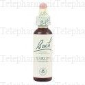 FLEUR DE BACH Original n&deg;19 Larch fleur de bach flacon 20ml