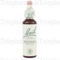 FLEUR DE BACH Original n&deg;21 Mustard fleurs de bach flacon 20ml