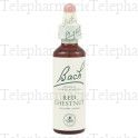 FLEUR DE BACH Original n&deg;25 Red chestnut fleur de bach flacon compte-gouttes 20ml