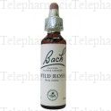 FLEUR DE BACH Original n&deg;37 Wild rose fleur de bach flacon compte-gouttes 20ml