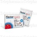 Flector tissugel EP 1 %