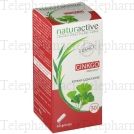 NATURACTIVE Elusanes Ginkgo 60 g&eacute;lules