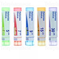 HELONIAS DIOICA 5CH TU GRAN.