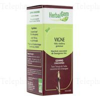 HERBALGEM Vigne Macérat concentré de bourgeons frais 30ml