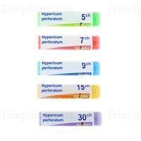HYPERICUM PERFORATUM