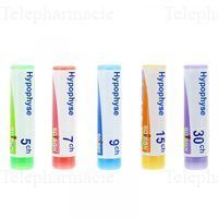 HYPOPHYSINE 9CH DO GL BOI