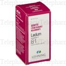 LEHNING COMPLEXE 81 LEDUM 30ML
