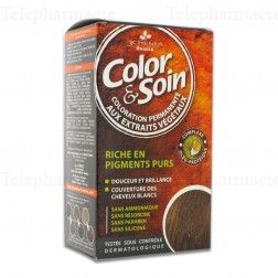 LES 3 CH&Ecirc;NES Color & soin n&deg;10A blond clair cendr&eacute;