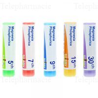 MAGNESIA PHOSPHORICA