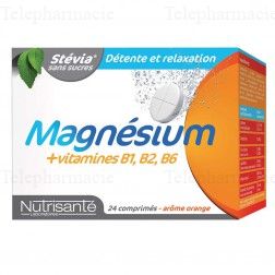 NUTRISANT&Eacute; Magn&eacute;sium + vitamines B1 B2 B6, 24 comprim&eacute;s effervescents