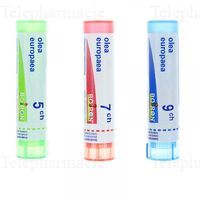 OLEA EUROPAEA 9CH TG BOI