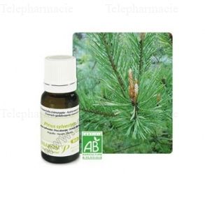 Huile essentielle bio pin sylvestre 10 ml