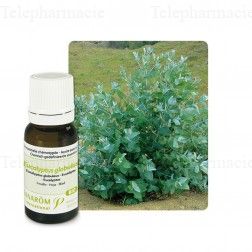 Huile essentielle bio eucalyptus globuleux 10ml