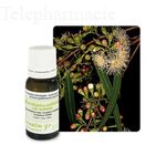 Huile essentielle "Eucalyptus radié" - 10 ml