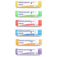 ROBINIA PSEUDO ACACIA