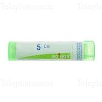 SOLIDAGO VIRGA AUR T GRLS 5C 